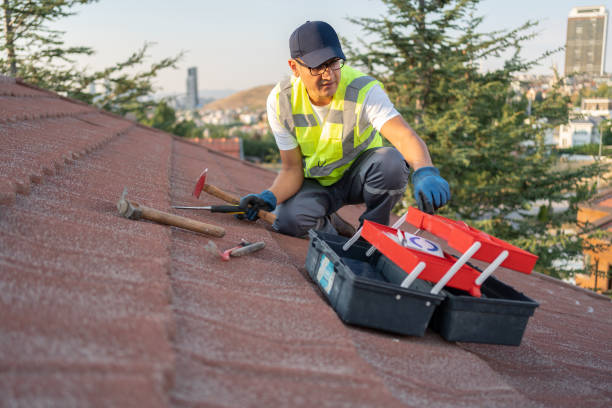 Best Shed Removal  in Barstow, CA